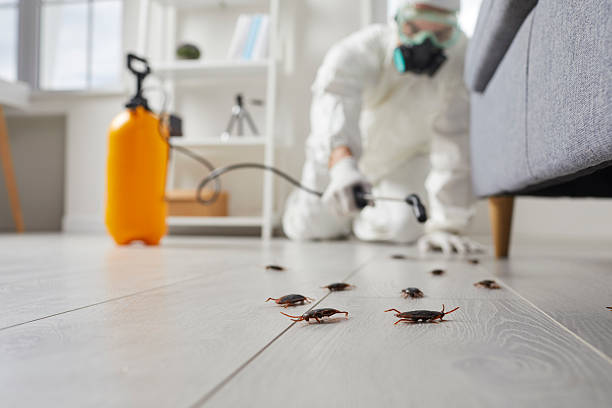 Commercial Kitchen Cockroach Control in Barling